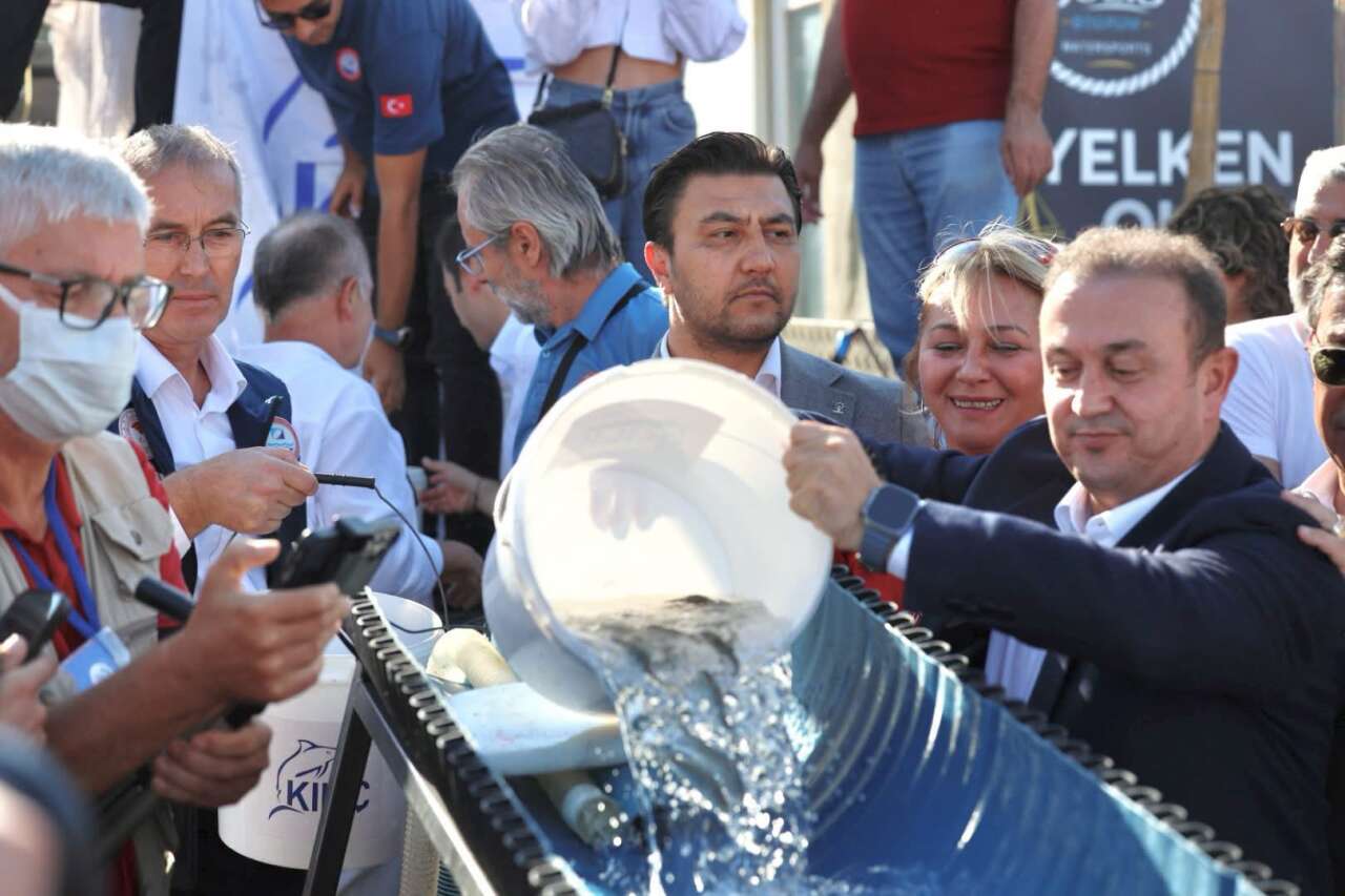 Bodrum’da Balık Festivali Başladı: 6 Bin Levrek Denize Bırakıldı 5